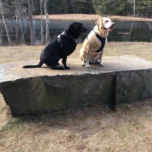 Meet your Posher, Susan